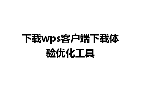 下载wps客户端下载体验优化工具