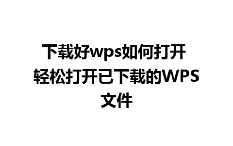 下载好wps如何打开 轻松打开已下载的WPS文件