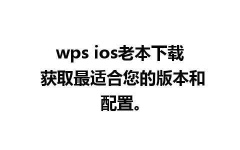 wps ios老本下载 获取最适合您的版本和配置。