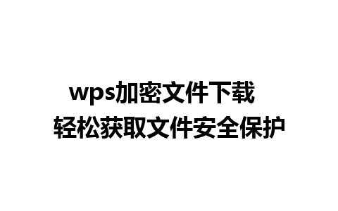 wps加密文件下载  轻松获取文件安全保护