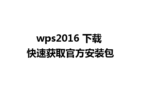 wps2016 下载 快速获取官方安装包