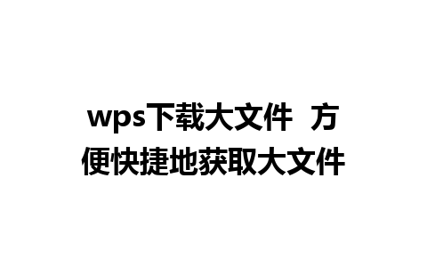 wps下载大文件  方便快捷地获取大文件