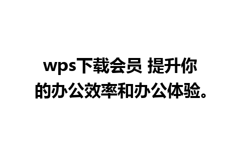 wps下载会员 提升你的办公效率和办公体验。