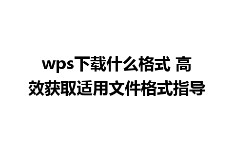 wps下载什么格式 高效获取适用文件格式指导