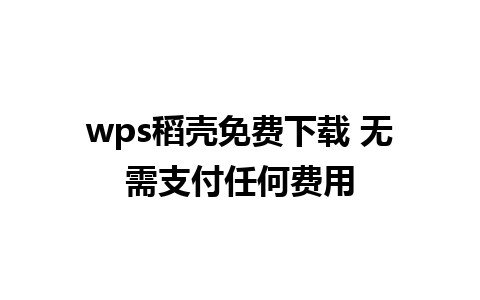 wps稻壳免费下载 无需支付任何费用