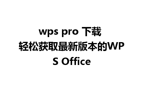 wps pro 下载 轻松获取最新版本的WPS Office