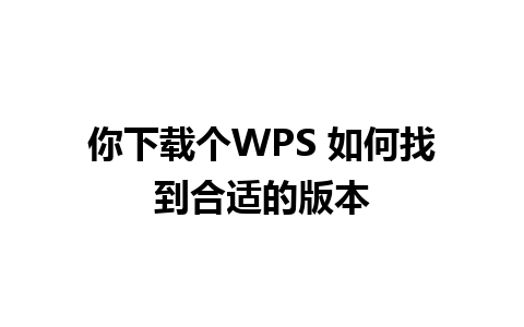 你下载个WPS 如何找到合适的版本