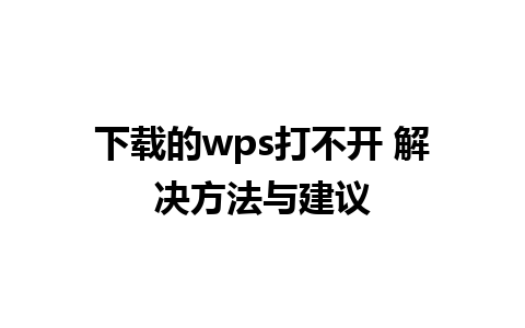 下载的wps打不开 解决方法与建议