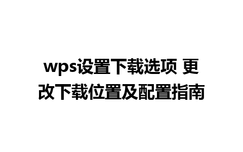 wps设置下载选项 更改下载位置及配置指南