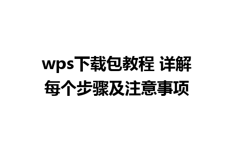 wps下载包教程 详解每个步骤及注意事项