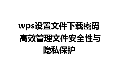 wps设置文件下载密码 高效管理文件安全性与隐私保护