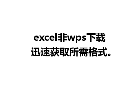 excel非wps下载 迅速获取所需格式。