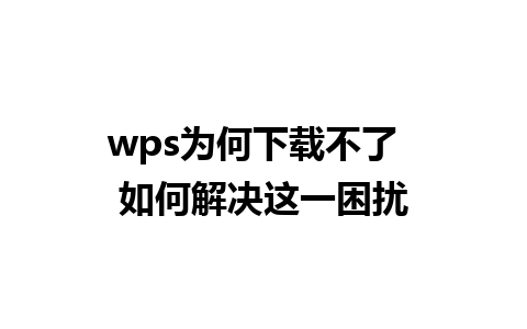 wps为何下载不了  如何解决这一困扰