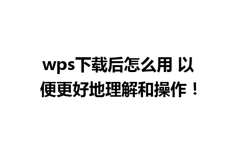 wps下载后怎么用 以便更好地理解和操作！