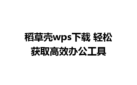 稻草壳wps下载 轻松获取高效办公工具