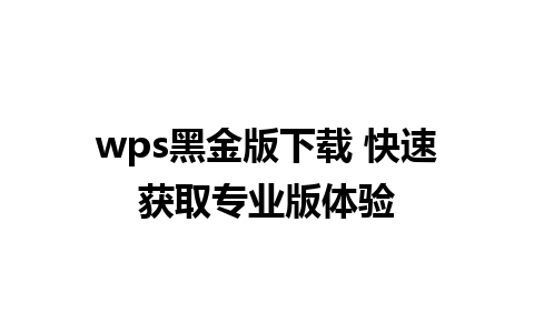 wps黑金版下载 快速获取专业版体验