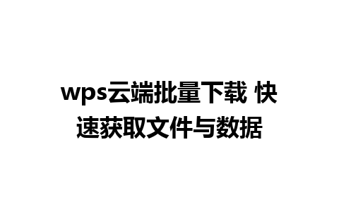 wps云端批量下载 快速获取文件与数据