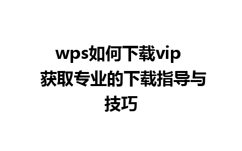 wps如何下载vip  获取专业的下载指导与技巧