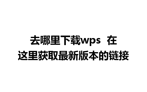 去哪里下载wps  在这里获取最新版本的链接