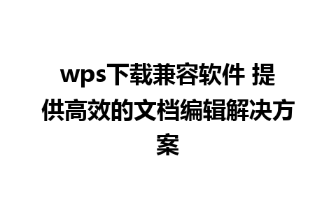 wps下载兼容软件 提供高效的文档编辑解决方案