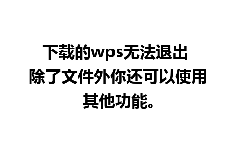 下载的wps无法退出 除了文件外你还可以使用其他功能。