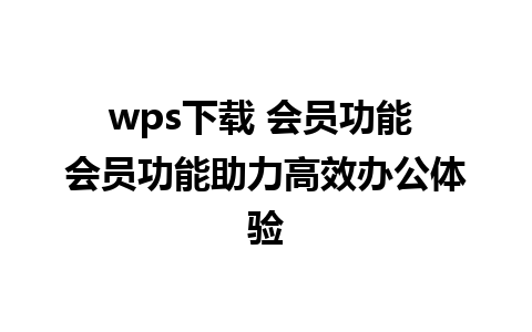 wps下载 会员功能 会员功能助力高效办公体验