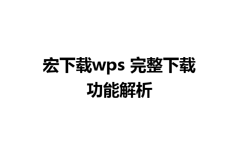 宏下载wps 完整下载功能解析