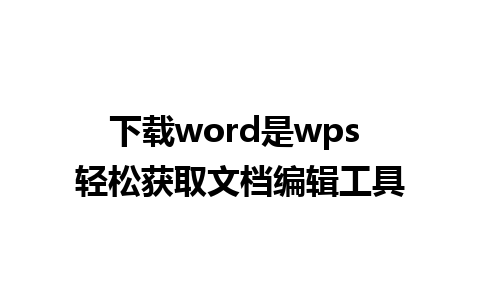 下载word是wps 轻松获取文档编辑工具