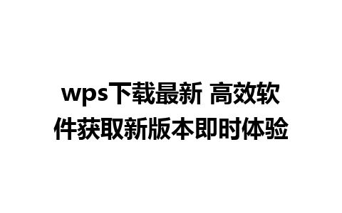 wps下载最新 高效软件获取新版本即时体验