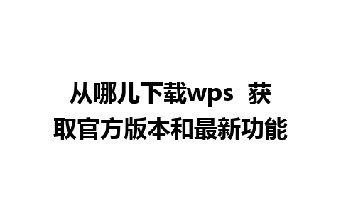 从哪儿下载wps  获取官方版本和最新功能