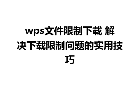 wps文件限制下载 解决下载限制问题的实用技巧