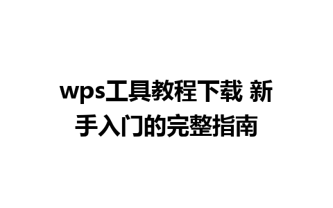 wps工具教程下载 新手入门的完整指南