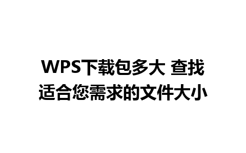 WPS下载包多大 查找适合您需求的文件大小