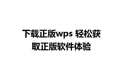 下载正版wps 轻松获取正版软件体验