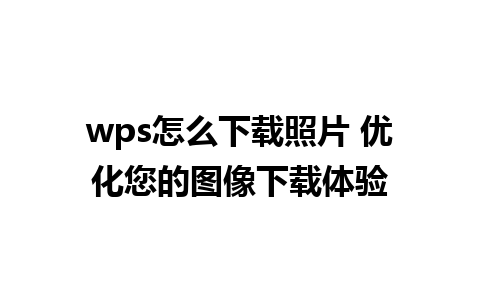 wps怎么下载照片 优化您的图像下载体验