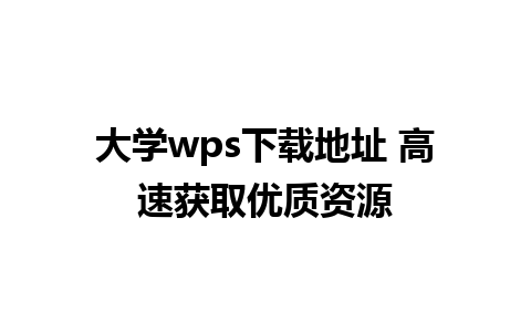 大学wps下载地址 高速获取优质资源