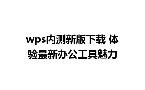 wps内测新版下载 体验最新办公工具魅力