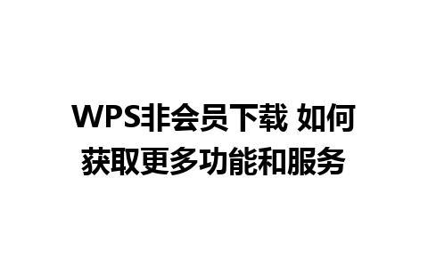 WPS非会员下载 如何获取更多功能和服务