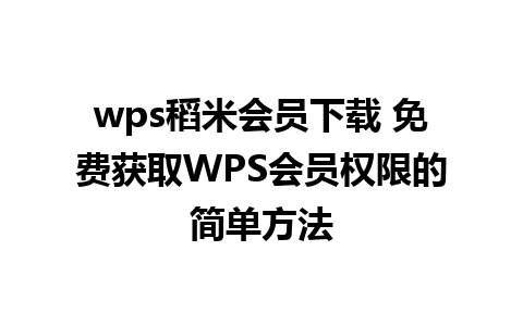 wps稻米会员下载 免费获取WPS会员权限的简单方法