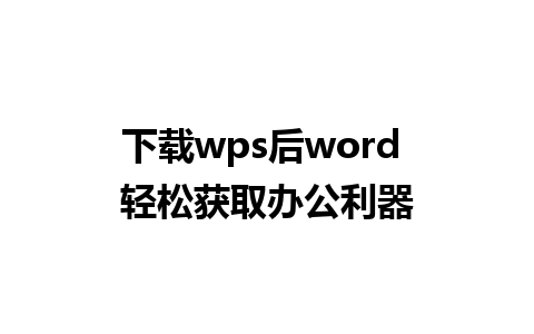 下载wps后word 轻松获取办公利器