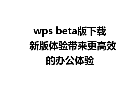 wps beta版下载  新版体验带来更高效的办公体验