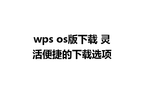 wps os版下载 灵活便捷的下载选项