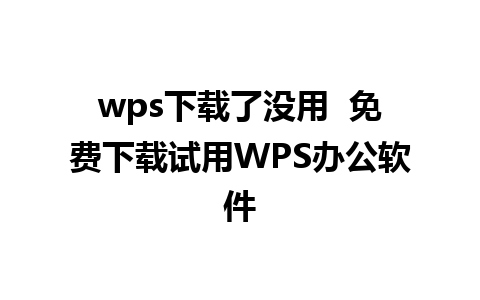 wps下载了没用  免费下载试用WPS办公软件