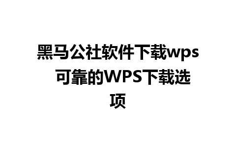 黑马公社软件下载wps  可靠的WPS下载选项