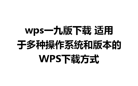 wps一九版下载 适用于多种操作系统和版本的WPS下载方式