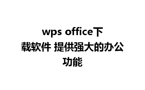 wps office下载软件 提供强大的办公功能