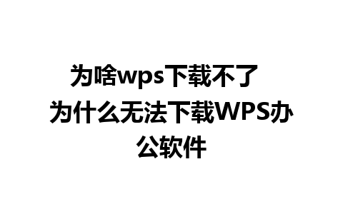 为啥wps下载不了  为什么无法下载WPS办公软件