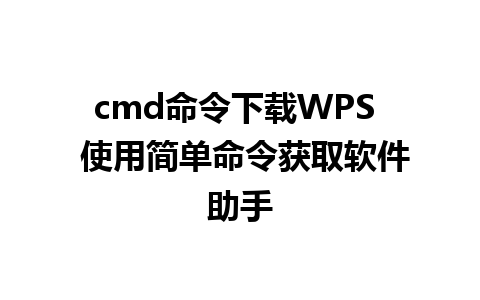 cmd命令下载WPS  使用简单命令获取软件助手