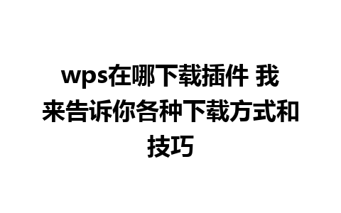 wps在哪下载插件 我来告诉你各种下载方式和技巧