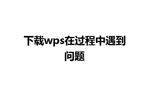 下载wps在过程中遇到问题